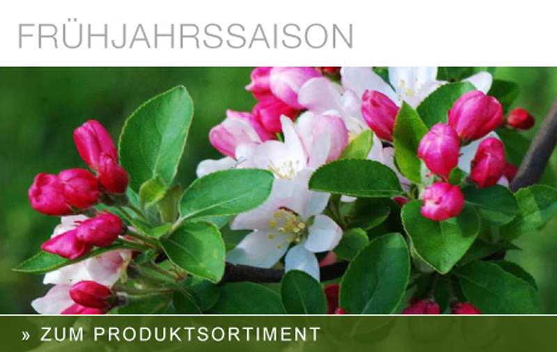 Frühjahrssaison Frühjahrssaison