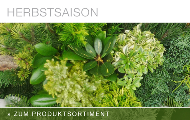 Herbstsaison Herbstsaison